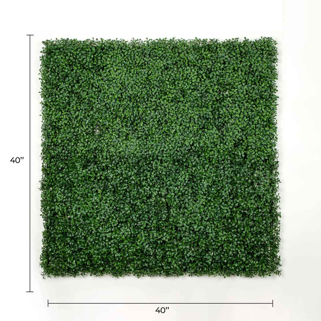 Dark Boxwood Artificial Vertical Garden Green Wall Panel 40×40in 11 SQ FT – UV Resistant – Commercial Grade-1