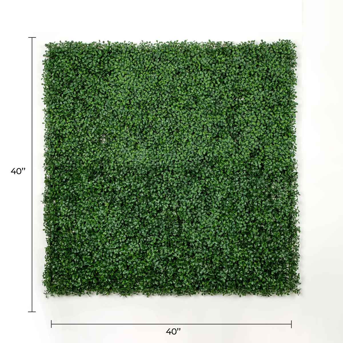 Dark Boxwood Artificial Vertical Garden Green Wall Panel 40×40in 11 SQ FT – UV Resistant – Commercial Grade-1