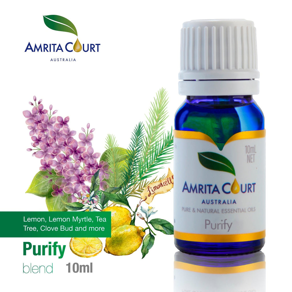 Two 10ml bottles of No Germ essential oil blends for air purifying and breathing support — view 3
