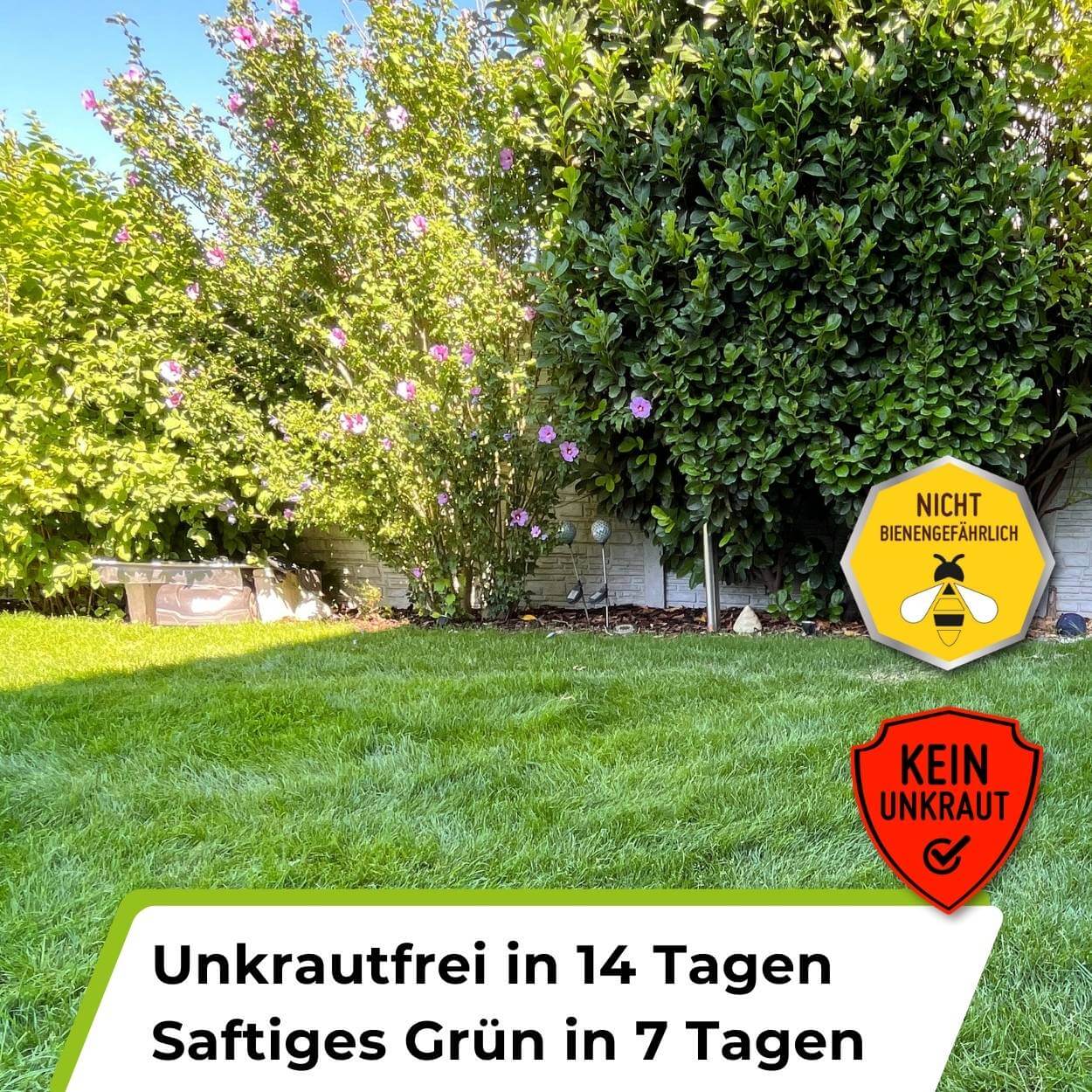 TerraUno lawn fertilizer and weed killer granular mix for thick, green, and healthy grass. — view 2