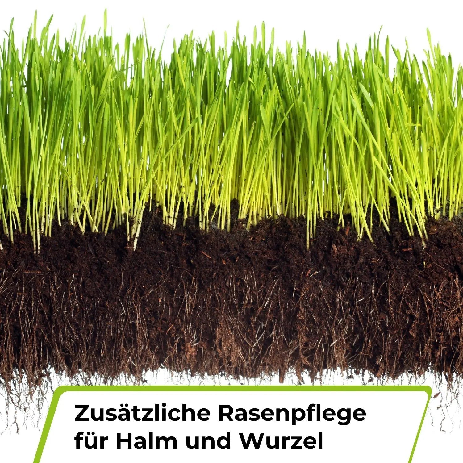 TerraUno lawn fertilizer and weed killer granular mix for thick, green, and healthy grass. — view 4