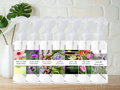 Floral & Feminine Room & Linen Spray – Trigger Spray | Soft Botanicals-0