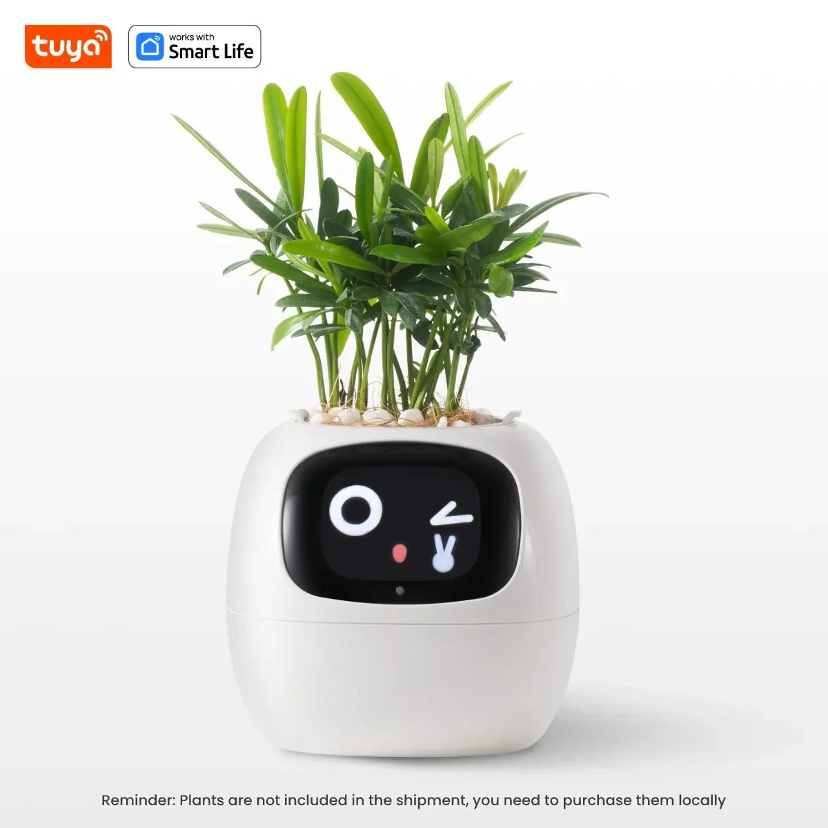 Tuya Ivy Smart Planter,Endless Fun Over 49 Rich Expressions,7 smart sensors,AI Chips Make Raising Plants Easy and Fun-7