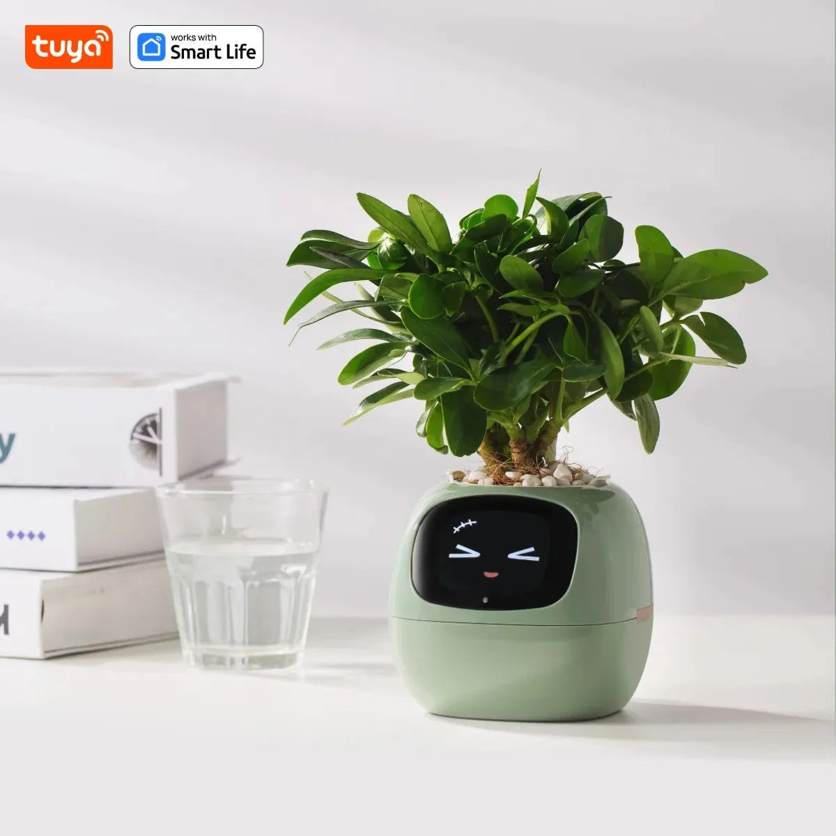 Tuya Ivy Smart Planter,Endless Fun Over 49 Rich Expressions,7 smart sensors,AI Chips Make Raising Plants Easy and Fun-8