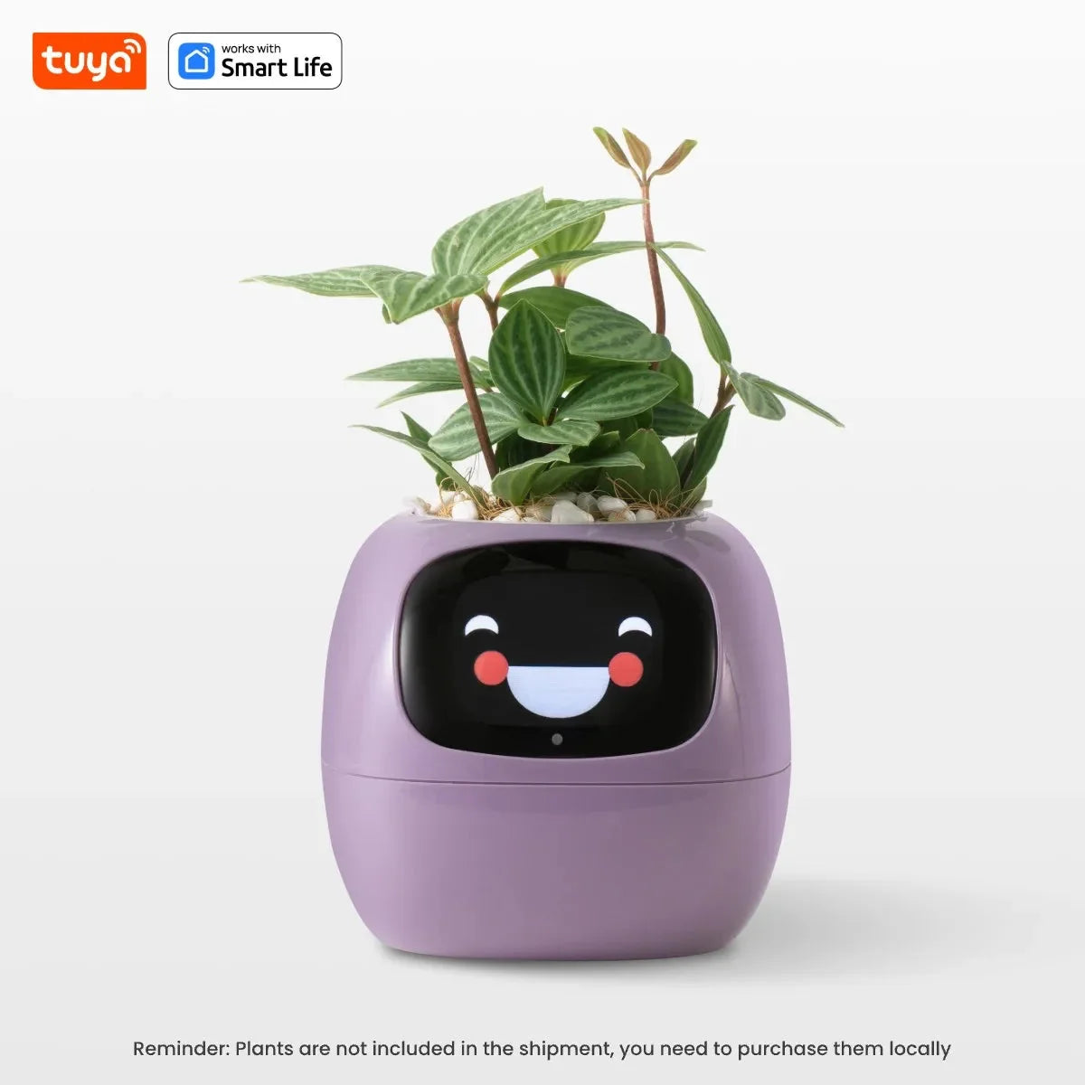 Tuya Ivy Smart Planter,Endless Fun Over 49 Rich Expressions,7 smart sensors,AI Chips Make Raising Plants Easy and Fun-5