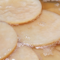 Organic Kombucha SCOBY mother culture with starter tea in a clear protective pouch