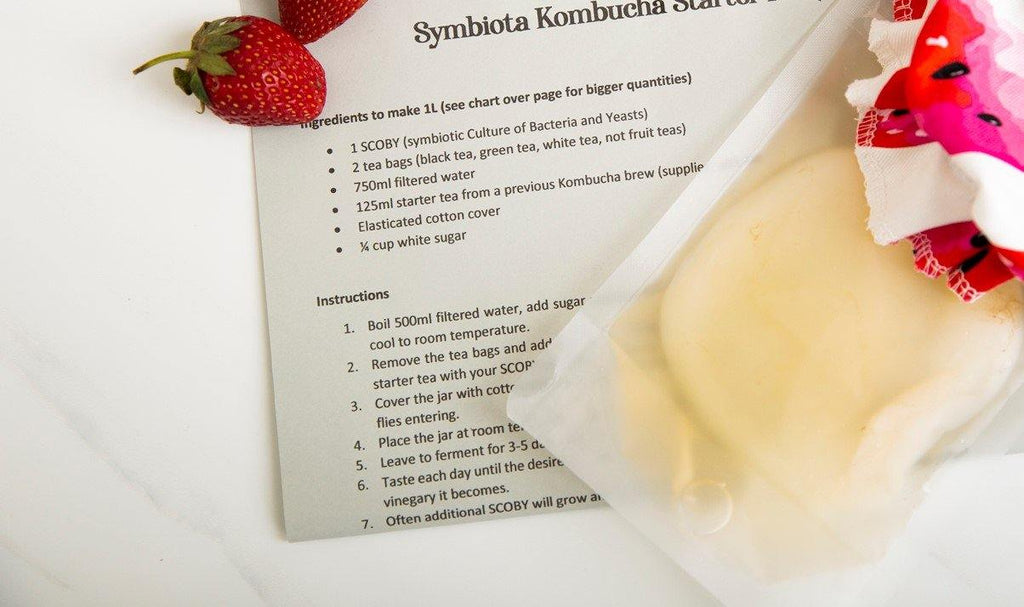 Organic Kombucha SCOBY mother culture with starter tea in a clear protective pouch — view 2