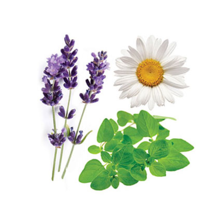 Serenity Restful Essential Oil Blend in a glass bottle for calming aromatherapy and peaceful bedtime relaxation — view 2