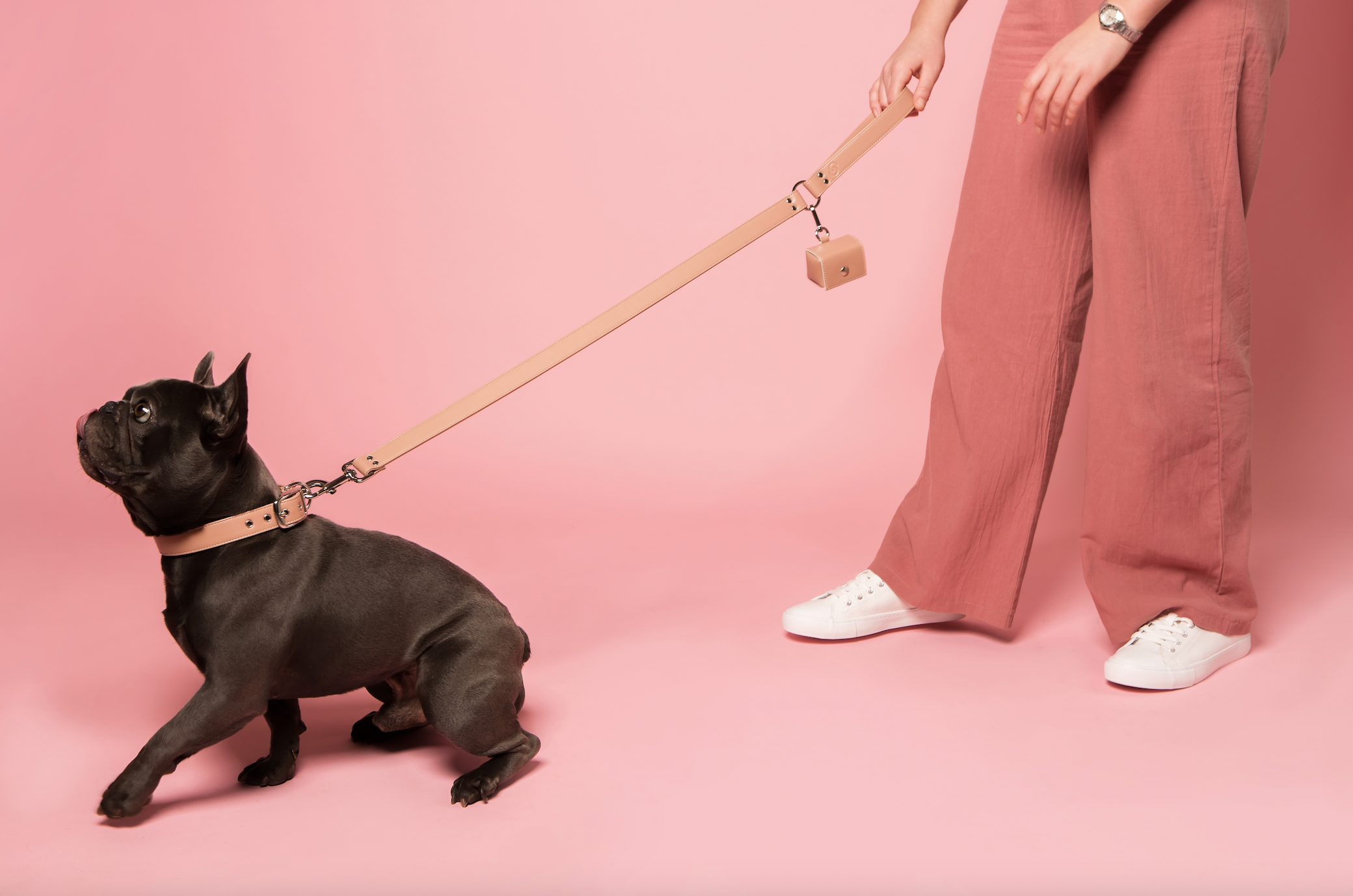 Blush pink vegan apple leather dog lead with metal clip for small to large dog breeds — view 4
