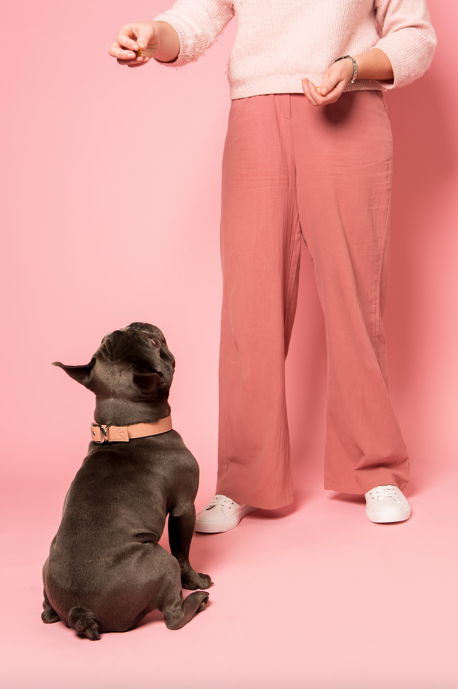 Blush pink vegan apple leather dog collar with metal buckle and adjustable eyelets — view 3
