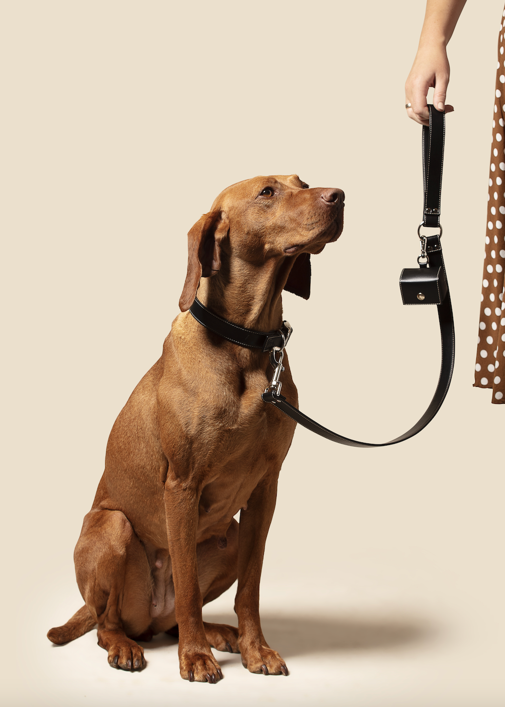 Classic black vegan apple leather dog collar with metal buckle and adjustable eyelets — view 2