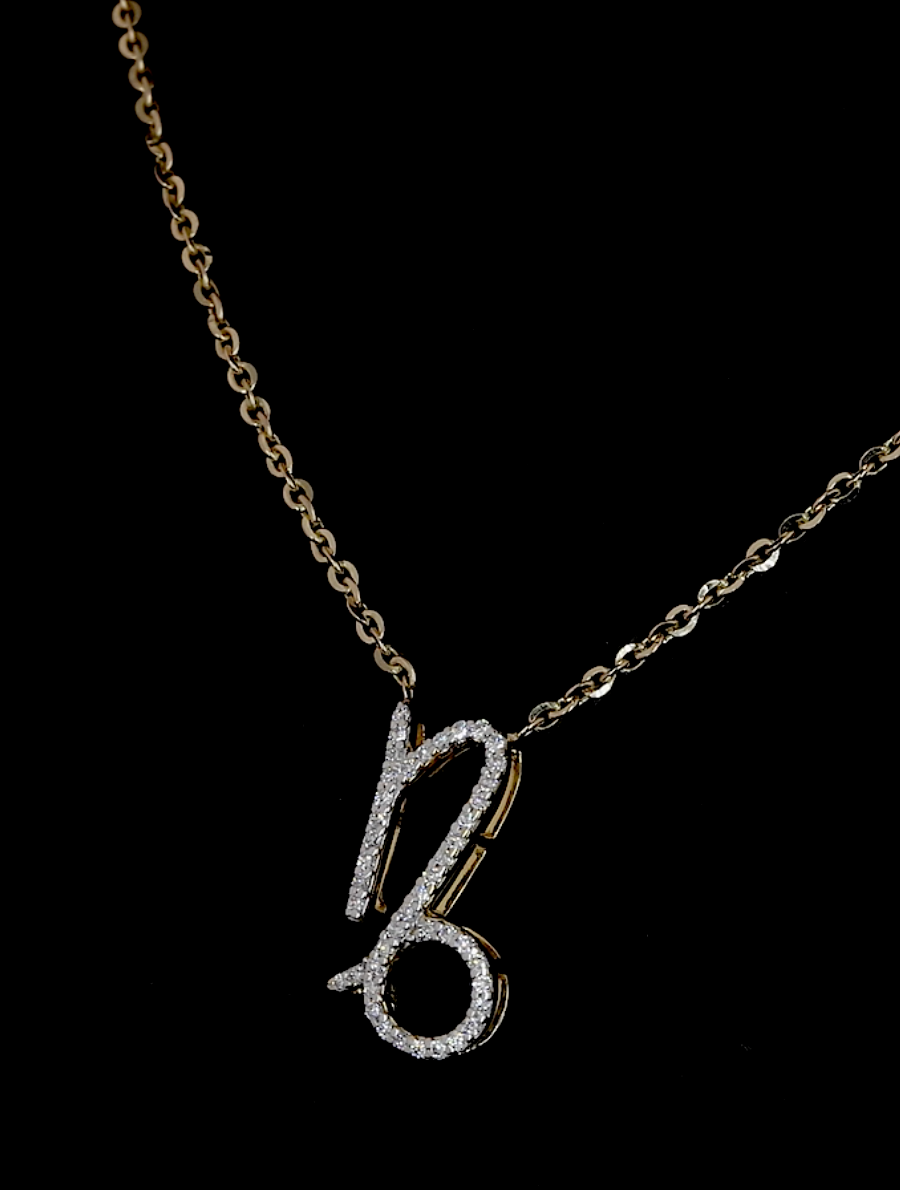 Capricorn Zodiac Necklace-2