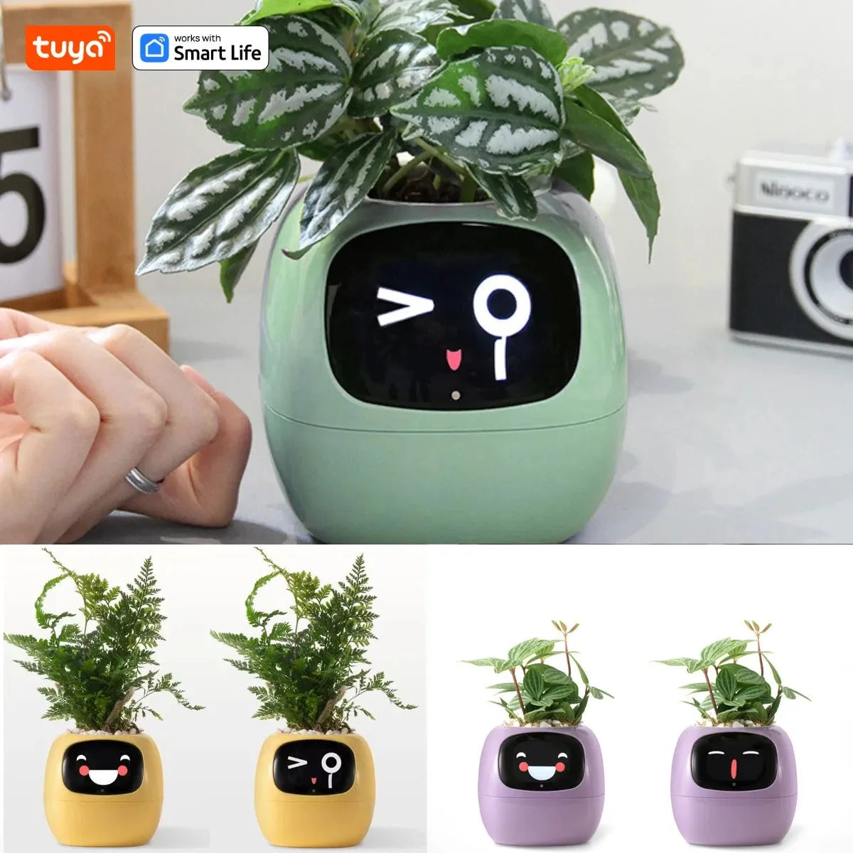 Tuya Ivy Smart Planter,Endless Fun Over 49 Rich Expressions,7 smart sensors,AI Chips Make Raising Plants Easy and Fun-0