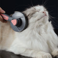 OBA self-cleaning pet grooming slicker brush with ergonomic non-slip handle and gentle massage bristles.