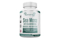 Sea Moss-0