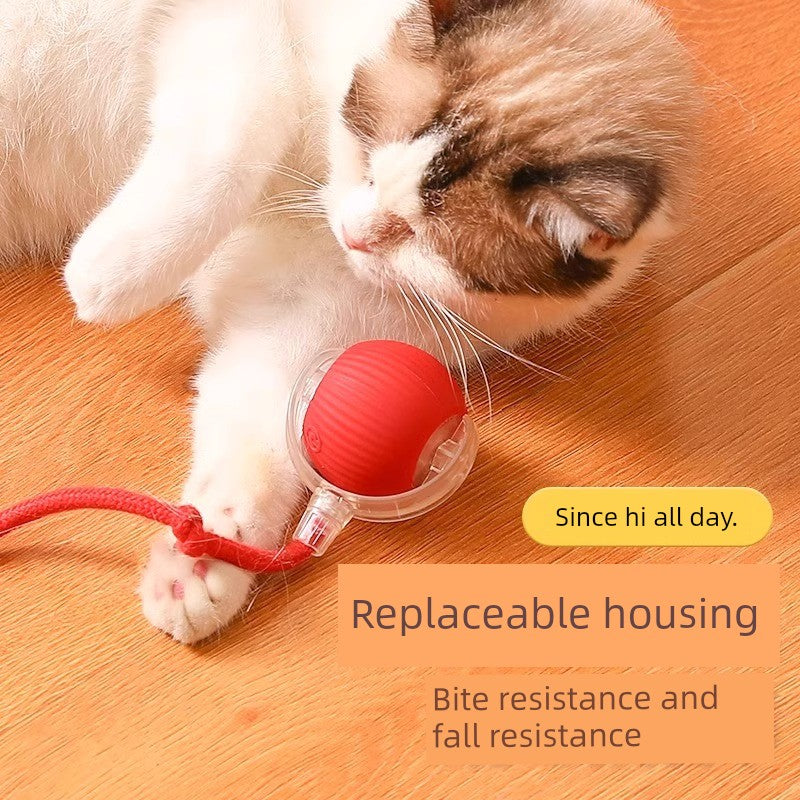 Smart Interactive Cat Teasing Ball-2