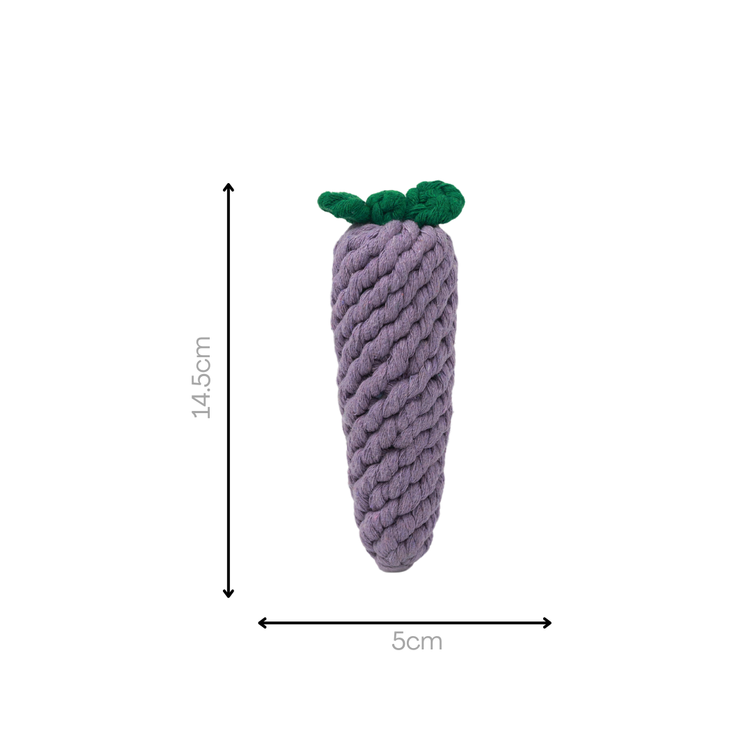 Handmade Eggplant Rope Toy-3
