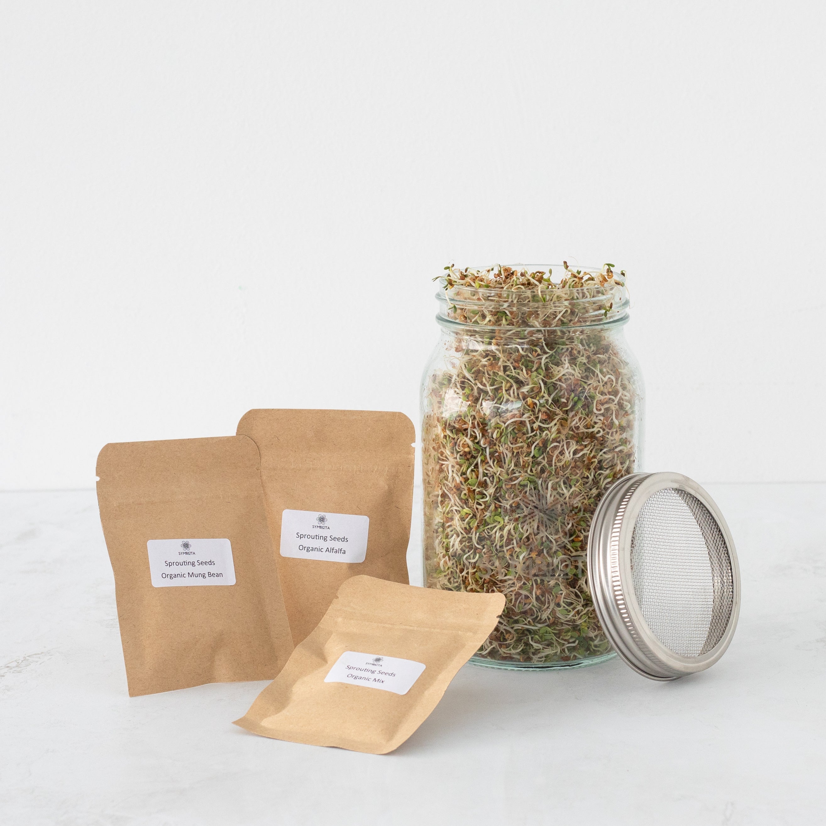 Seed sprouting kit with 1L glass jar, stainless steel screen, and packs of organic sprouting seeds