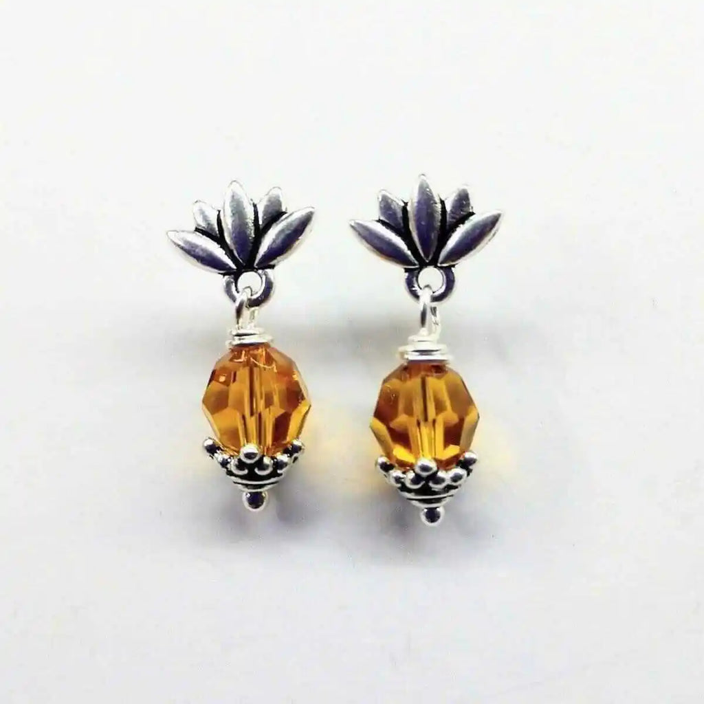 Silver Crystal Pineapple Steel Studded Earrings-1