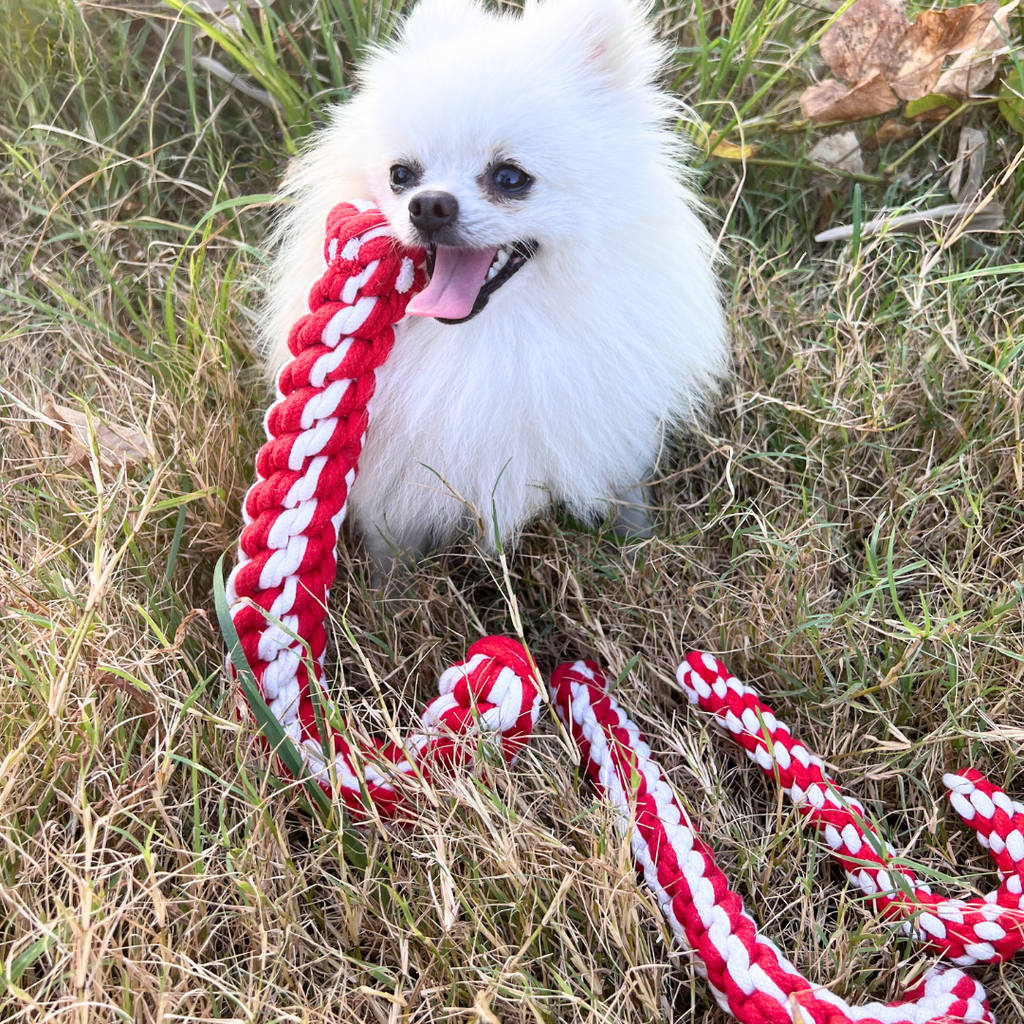 Braided Candy Cane Pet Rope Toy-2