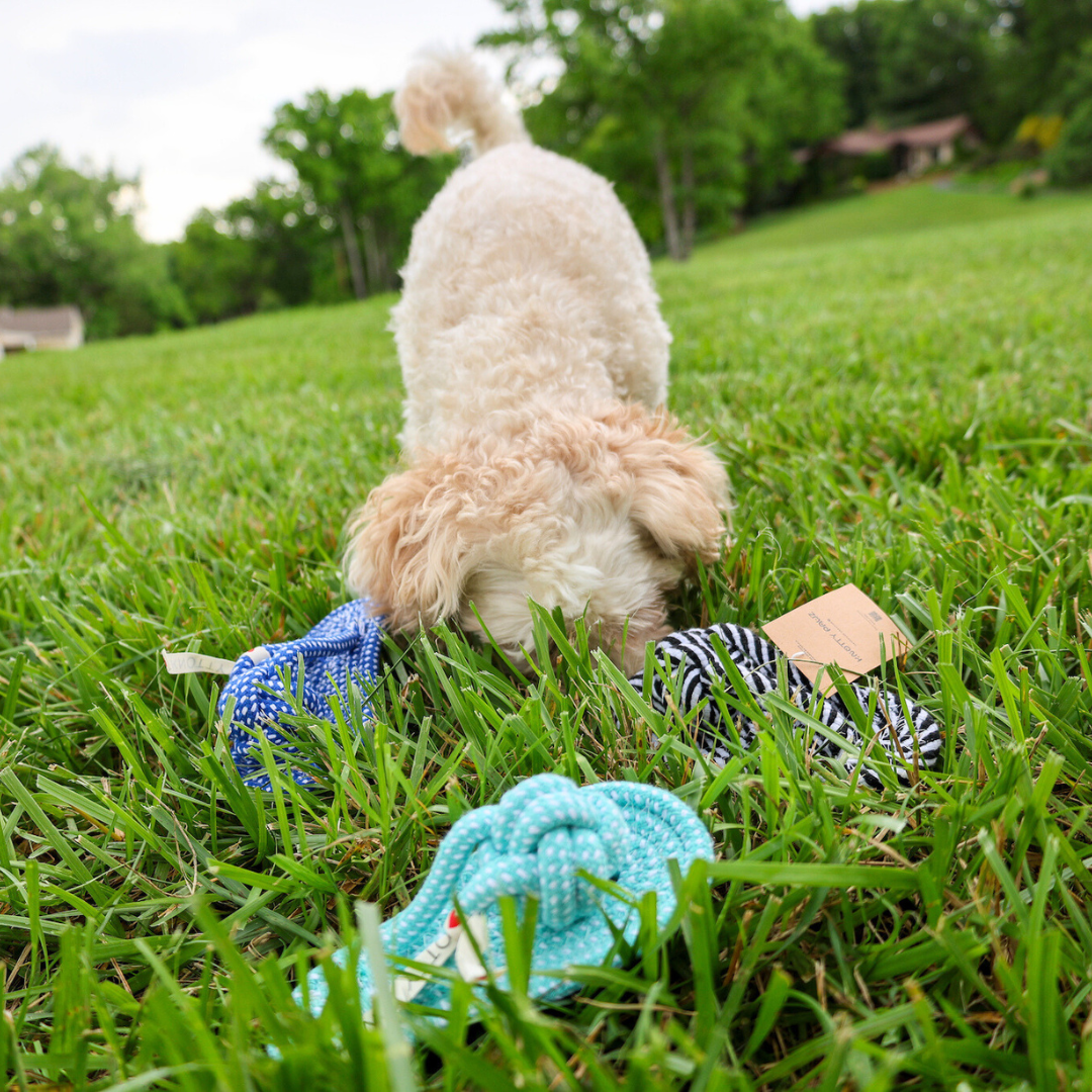 Slipper rope dog toy crafted from woven cotton in vibrant colors for interactive pet playtime — view 3