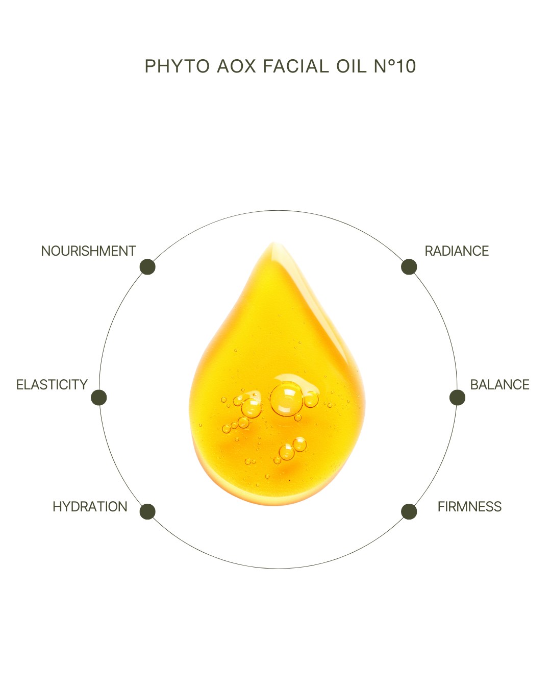 Phyto AOX Facial Oil N°10 in a glass dropper bottle, nourishing clean skincare face serum. — view 5