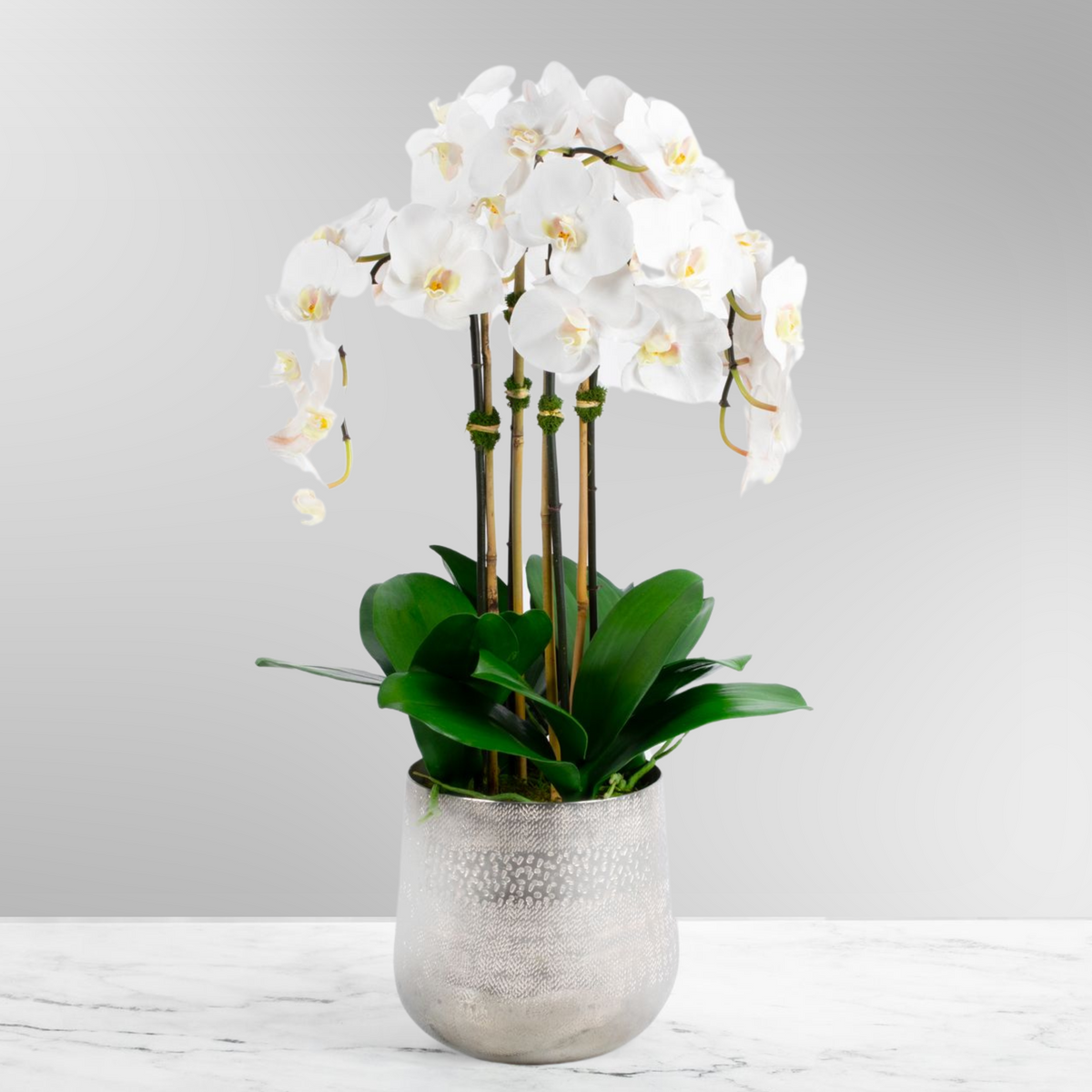Tall Faux Orchid Arrangement in Vase-0