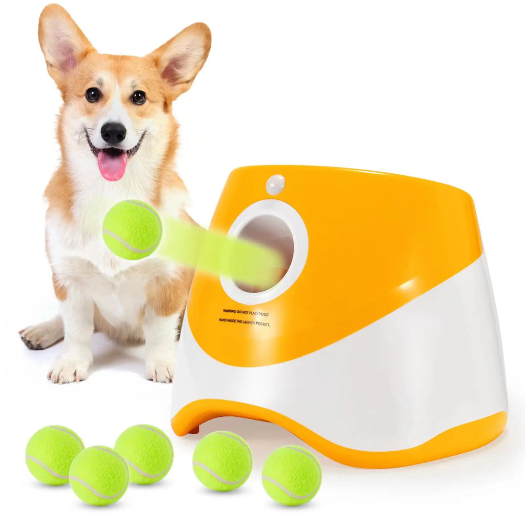 Automatic tennis ball launcher for dogs with a green tennis ball ready for interactive fetch
