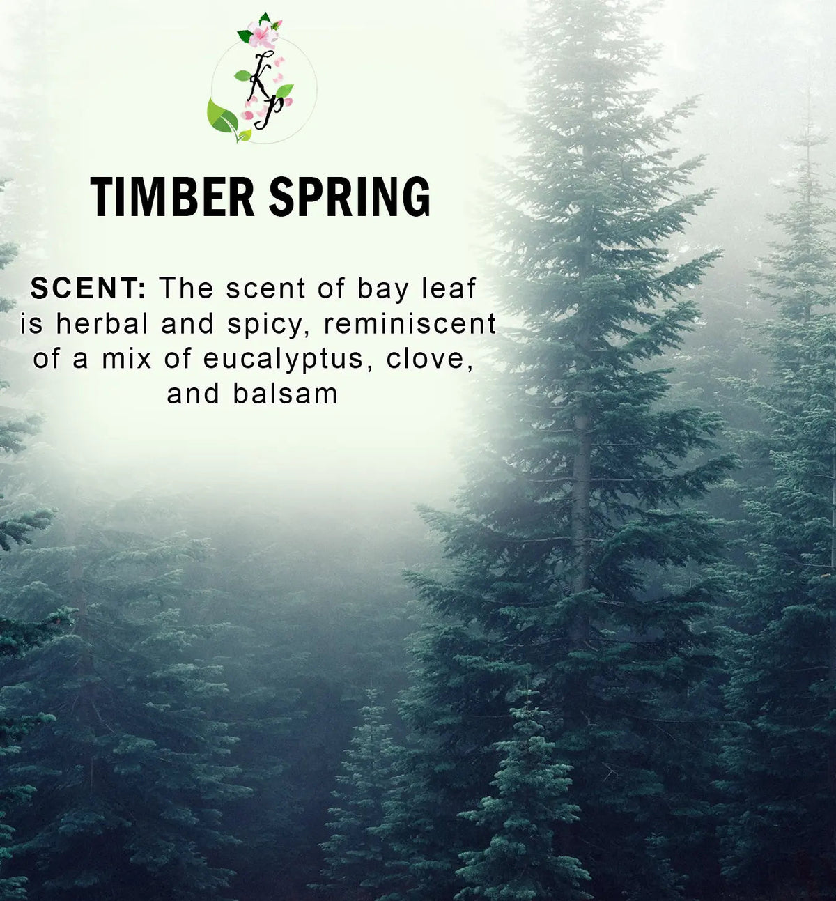 Timber Spring Natural Organic Body Lotion 12oz-1