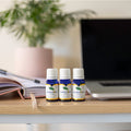 Total Control essential oil trio glass bottles for energy, calm, and peaceful sleep support.