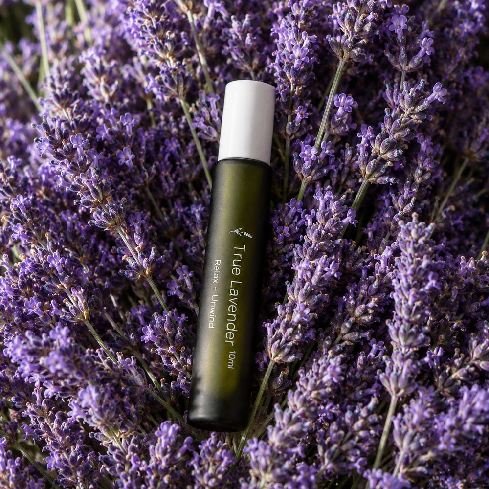 Amrita Court True Lavender Essential Oil Roll-On | 10 mL-2