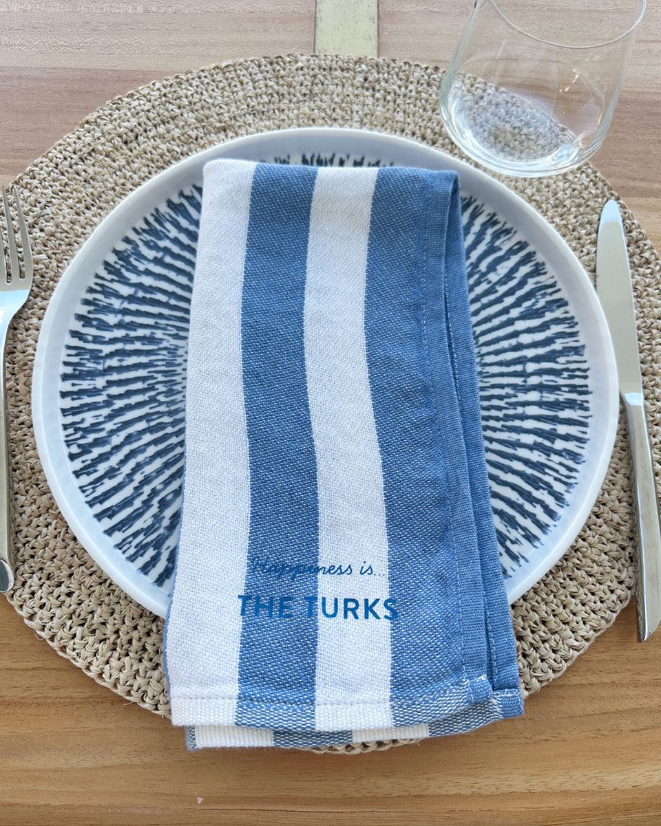 Custom Napkin, Striped Blue-1