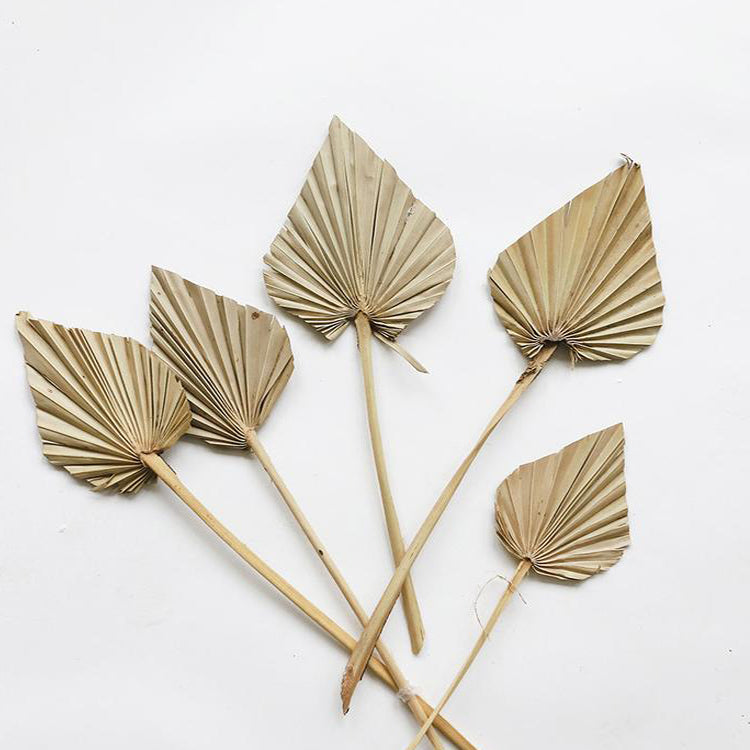 Anahaw Spear Palm Leaves-0