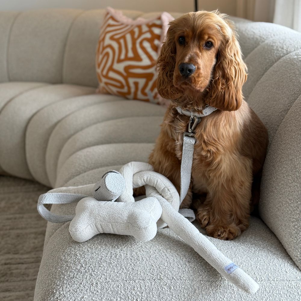 Soft polyester boucle knot dog toy in a neutral shade with hidden squeakers for interactive play — view 4