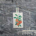 Eco-friendly compostable kitchen sponge with a cheerful orange citrus pattern, wood pulp, and loofah side.