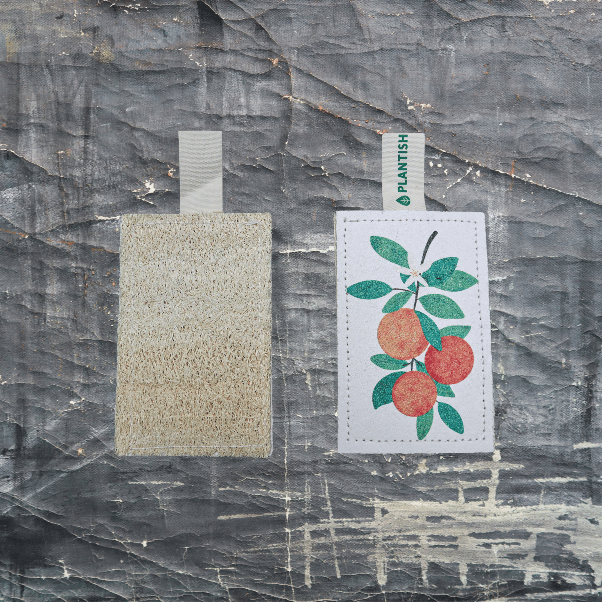 Eco-friendly compostable kitchen sponge with a cheerful orange citrus pattern, wood pulp, and loofah side. — view 2