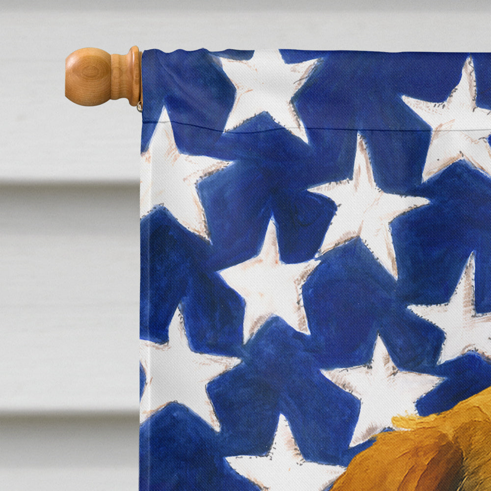 Tri-color Beagle American Flag House Flag-2