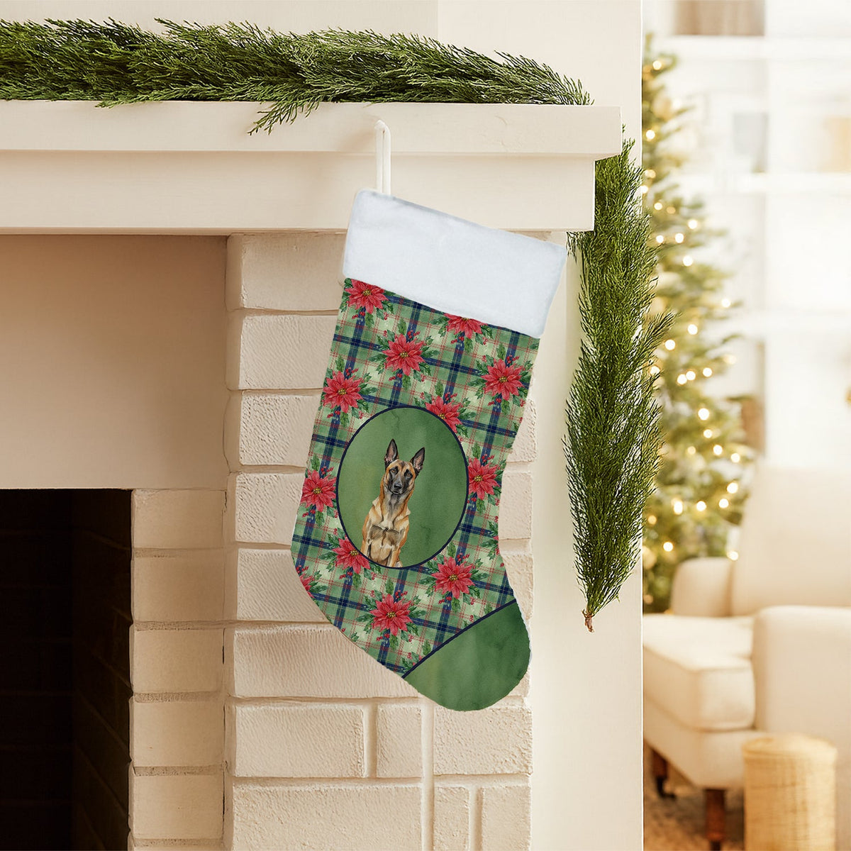 Belgian Malinois Christmas PoinsettIas Holiday Stocking-1