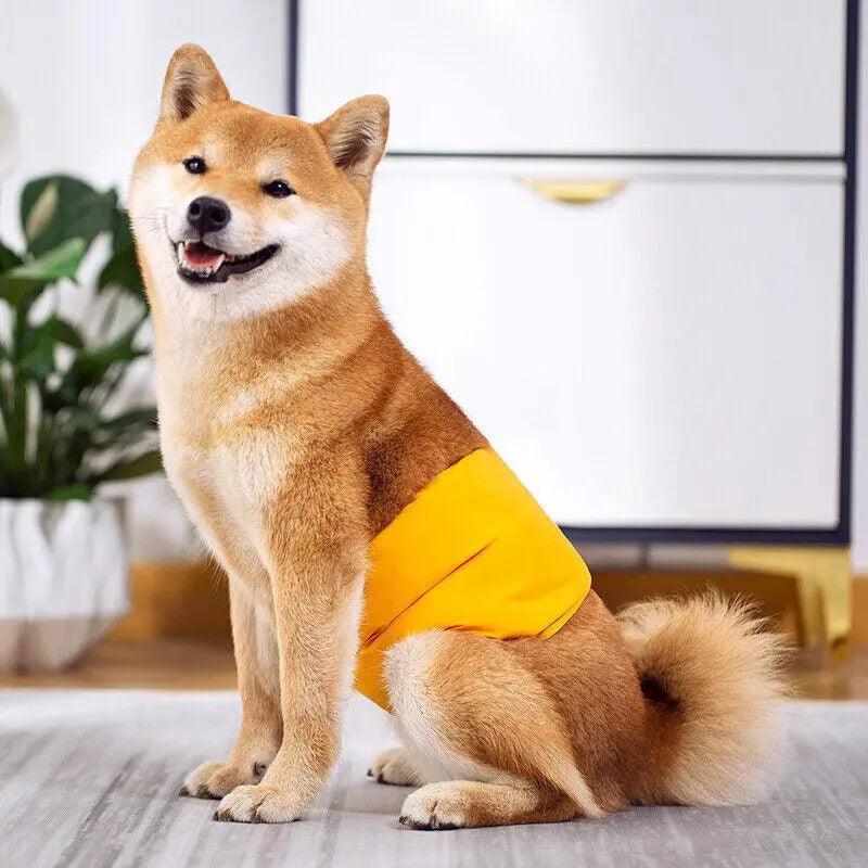 Blue and yellow washable cotton male dog belly band diapers for training and hygiene — view 4