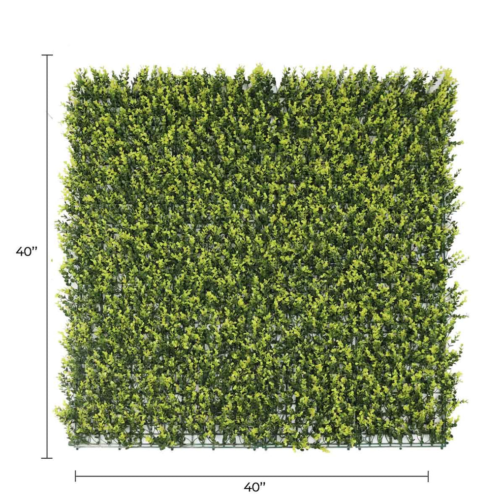 Yellow English Boxwood Artificial Vertical Garden Green Wall Panel 40×40in 11 SQ FT – UV Resistant – Commercial Grade-1