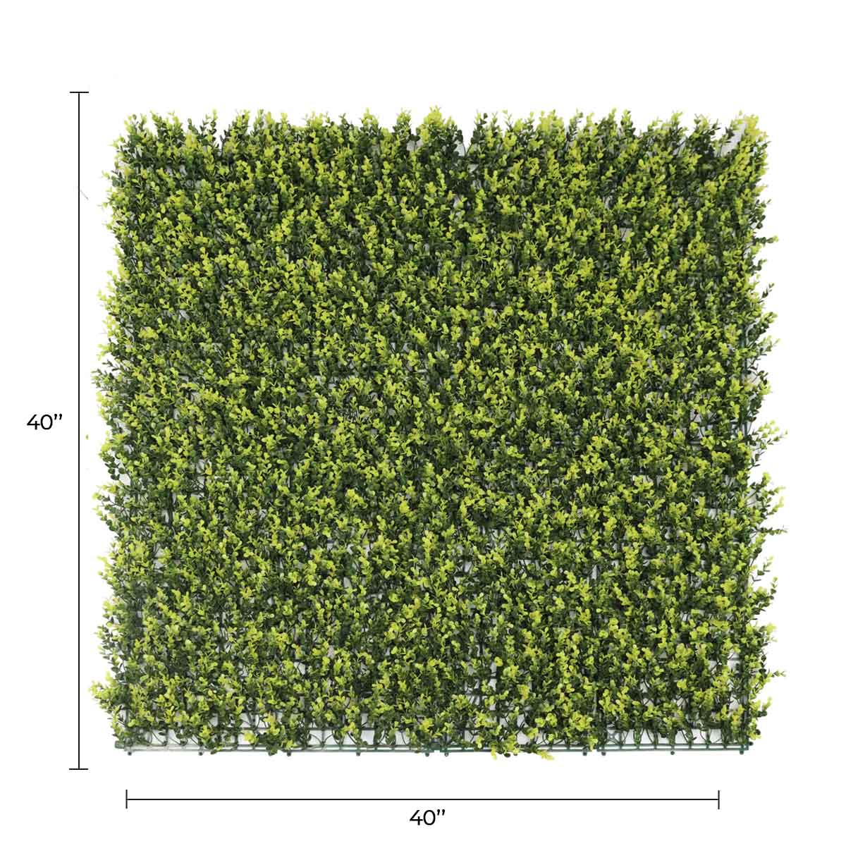 Yellow English Boxwood Artificial Vertical Garden Green Wall Panel 40×40in 11 SQ FT – UV Resistant – Commercial Grade-1