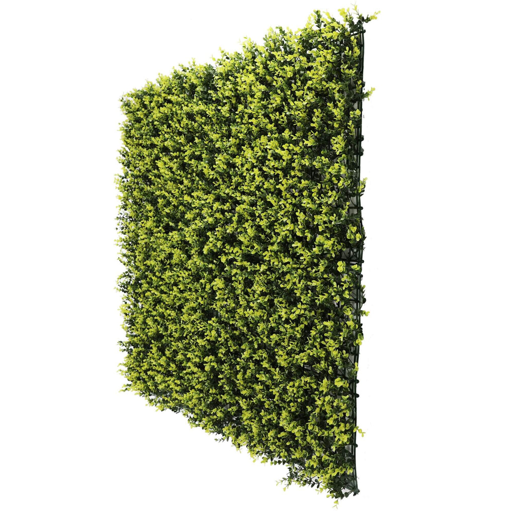 Yellow English Boxwood Artificial Vertical Garden Green Wall Panel 40×40in 11 SQ FT – UV Resistant – Commercial Grade-3