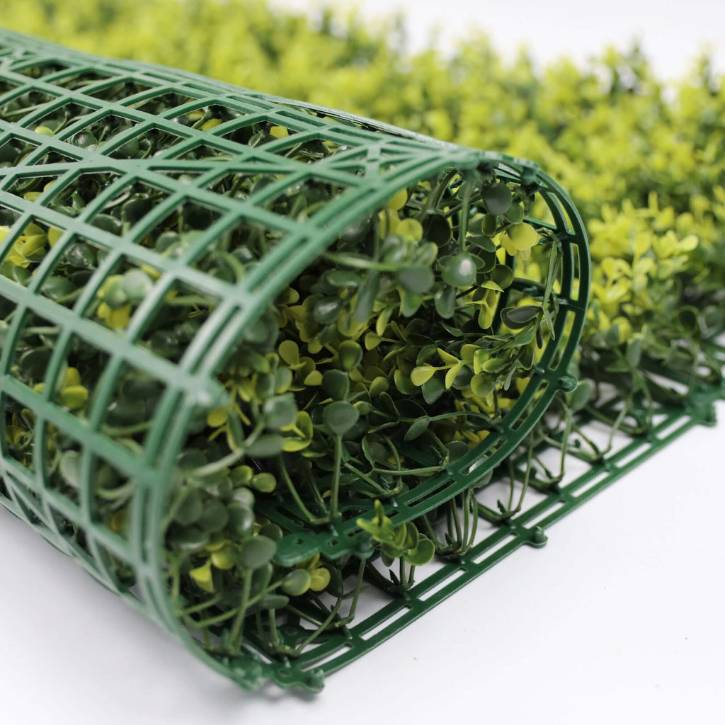 Yellow English Boxwood Artificial Vertical Garden Green Wall Panel 40×40in 11 SQ FT – UV Resistant – Commercial Grade-4