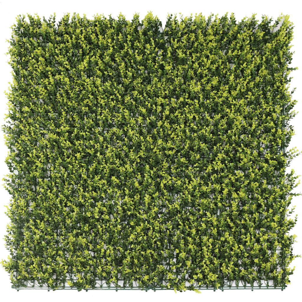 Yellow English Boxwood Artificial Vertical Garden Green Wall Panel 40×40in 11 SQ FT – UV Resistant – Commercial Grade-0