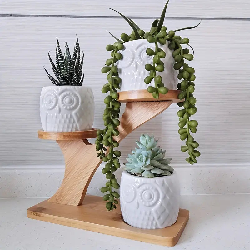 Wooden freestanding plant stand with natural finish holding multiple flower pots and Bonsai trees — view 3