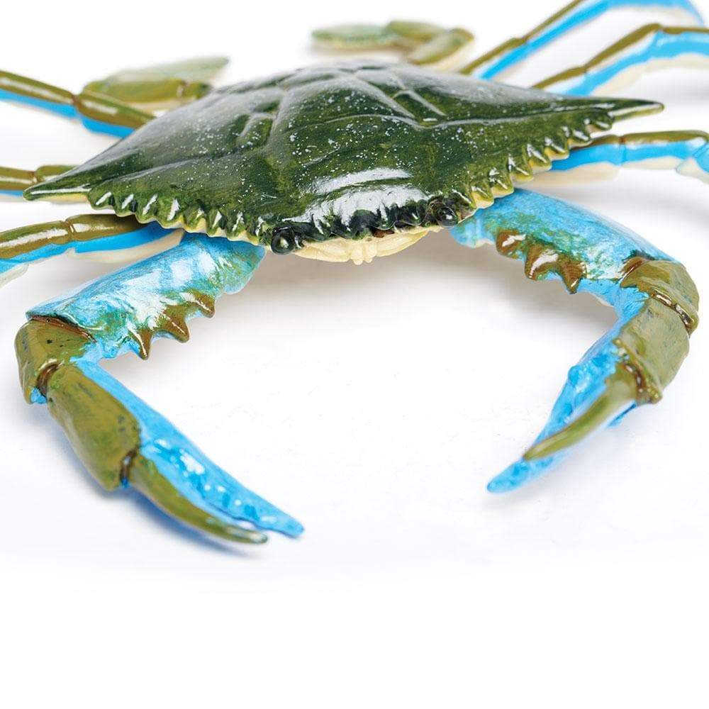 Blue Crab Toy-4