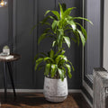Geometric cement outdoor planter in taupe and ivory, traditional farmhouse round garden pot