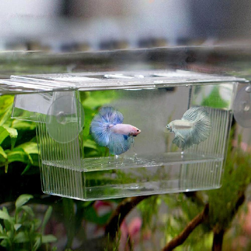 Transparent plastic aquarium fish tank hatchery box for breeding and isolating small aquatic pets