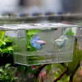 Transparent plastic aquarium fish tank hatchery box for breeding and isolating small aquatic pets