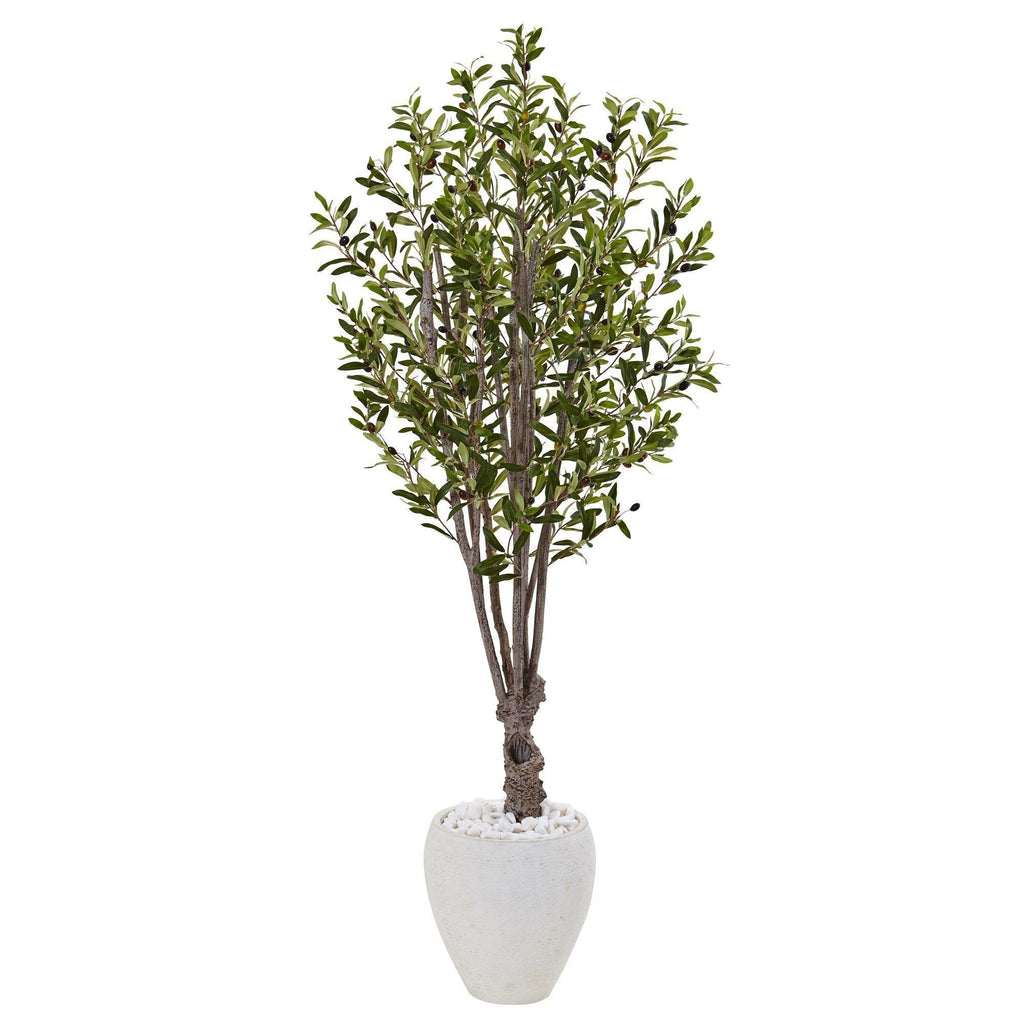 5’ Olive Tree in White Planter-2